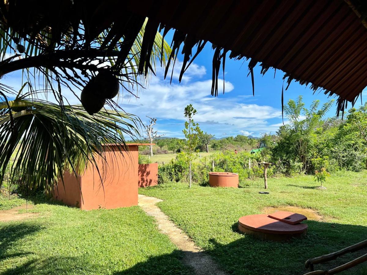 Yala Peace Cottages 티사마하라마 외부 사진
