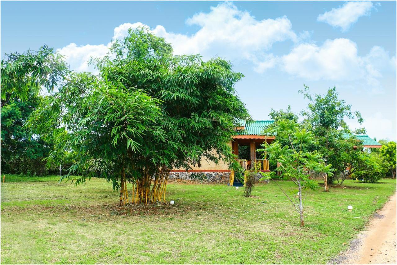 Yala Peace Cottages 티사마하라마 외부 사진